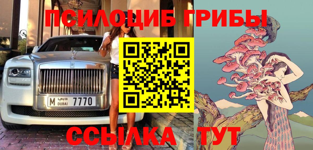 Галлюциногенные грибы Psilocybe  Вход с VPN  Псилоцибиновые грибы мицелий  Березники 